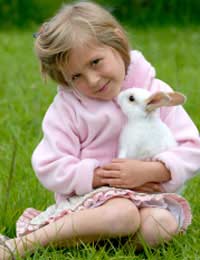 Pet Care Rabbit Care Rabbit Proofing
