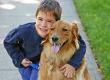 Is Your Child Ready to Walk the Dog?