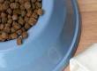 Dos and Don'ts of Dog Diets