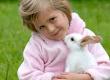 Rabbit Proofing Your Home