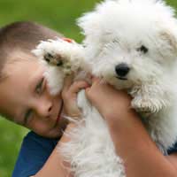 Crufts Child Dog Handling Kennel Club