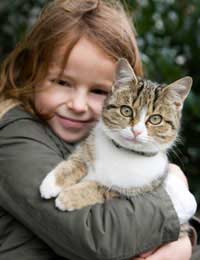 Pets animals pet Adoption adopting