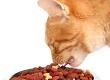 Reading Pet Food Labels