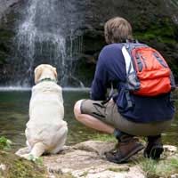 Pets Children Holiday Kids Safety Camera