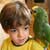 Birds as Pets