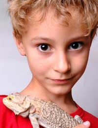 Reptile Reptile Care Lizards Snakes Cold