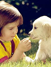 Kids Children Child Kids Pets New Pet