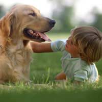Kids Pet Animal Body Language Pet Body