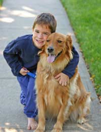 Kid Kids Child Children Dog Pet Pet Care