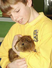 Kids Children Child Pets Small Animals