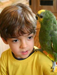 Children Kids Kids Pets Bird Bird Care