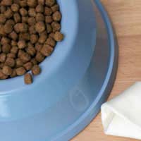 Dog Dogs Canine Dog Food Dog Diet Dog