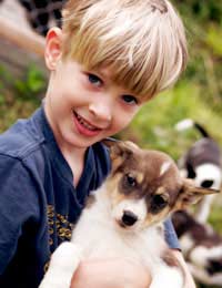 Kids Children Pets Pet Care Family Pet