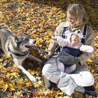 Pet Dog Baby Babies Baby's New Baby Dogs